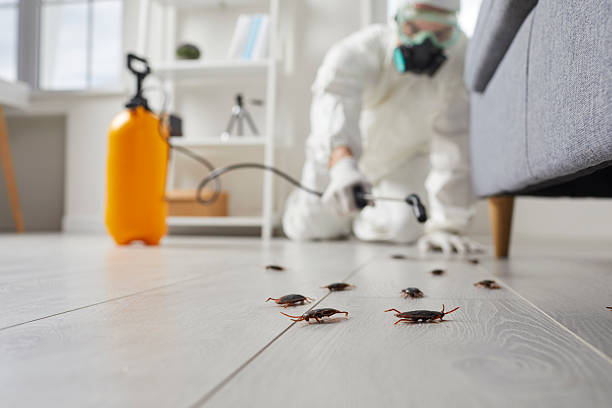 Trusted Cockroach Control service in Citrus Springs, FL - Nex Pest Control